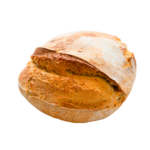 Pão Transmontano de Trigo